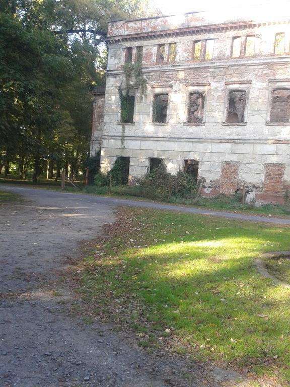 Gosciniec Sloneczny Hotell Drzonków Eksteriør bilde