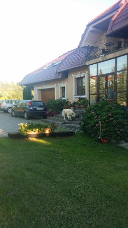 Gosciniec Sloneczny Hotell Drzonków Eksteriør bilde